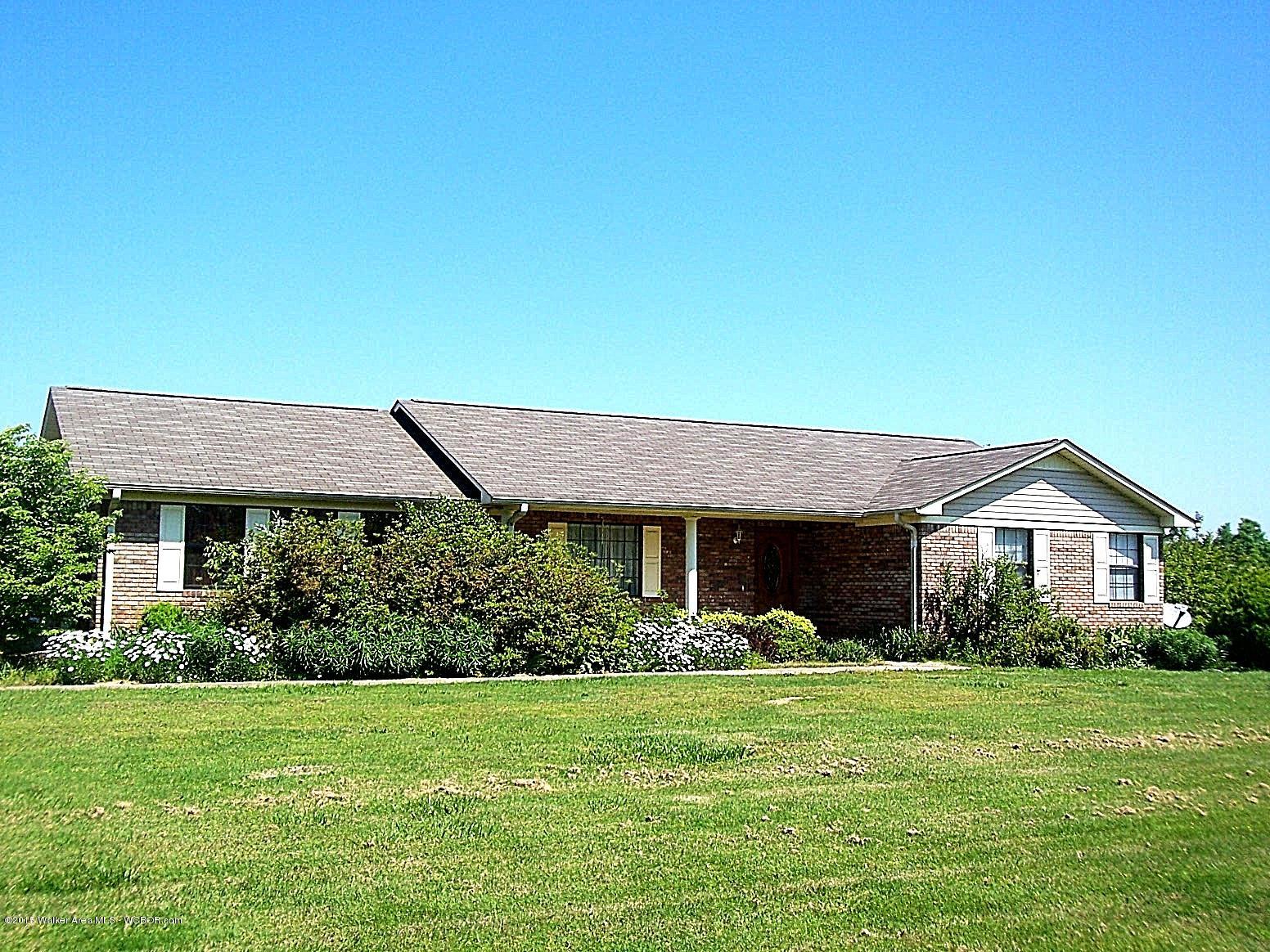 480 Ingle Road Nauvoo, AL 35578 - Photo 1 of 20 Gallery Image 1