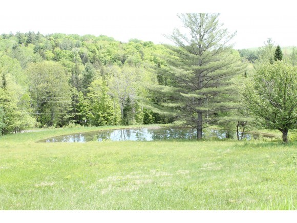 367 White Hill Road Washington, VT 05675 - Photo 10 of 14