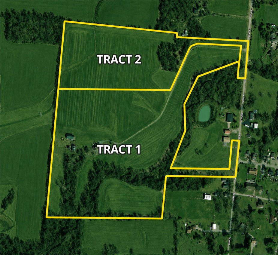 Visualize property divisions and boundaries within this expansive and verdant landscape.