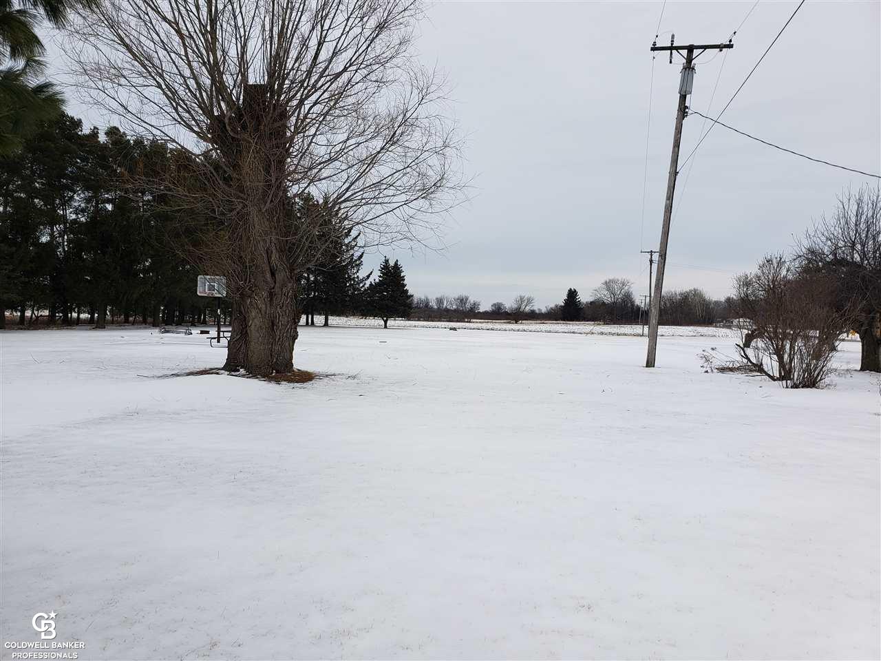 10580 Metcalf Road Yale, MI 48097 - Photo 30 of 35 Backyard