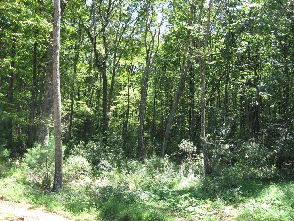 Tbd Blue Ridge Parkway, Unit 152 Fancy Gap, VA 24328 - Photo 26 of 39 Gallery Image 26
