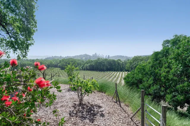 $4,500,000 | 150 Old Vine Lane, Windsor, CA 95492