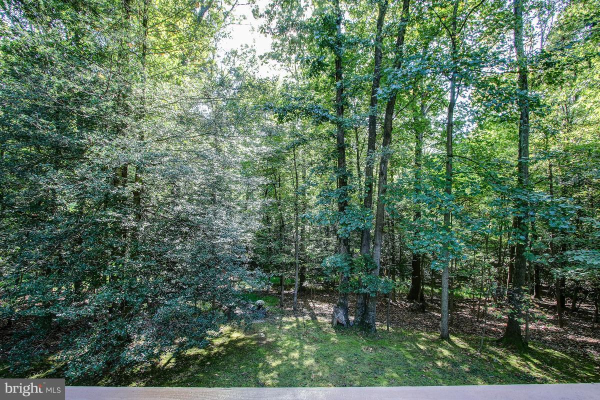 11413 Running Cedar Road Reston, VA 20191 - Photo 13 of 30 Beautiful View from Porch & Deck