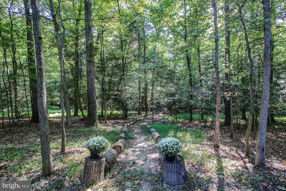 11413 Running Cedar Road Reston, VA 20191 - Photo 28 of 30 Naturally wooded and private