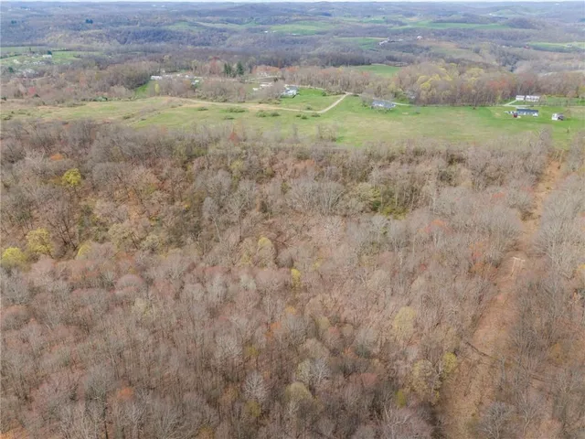 a view of a field of grass and trees