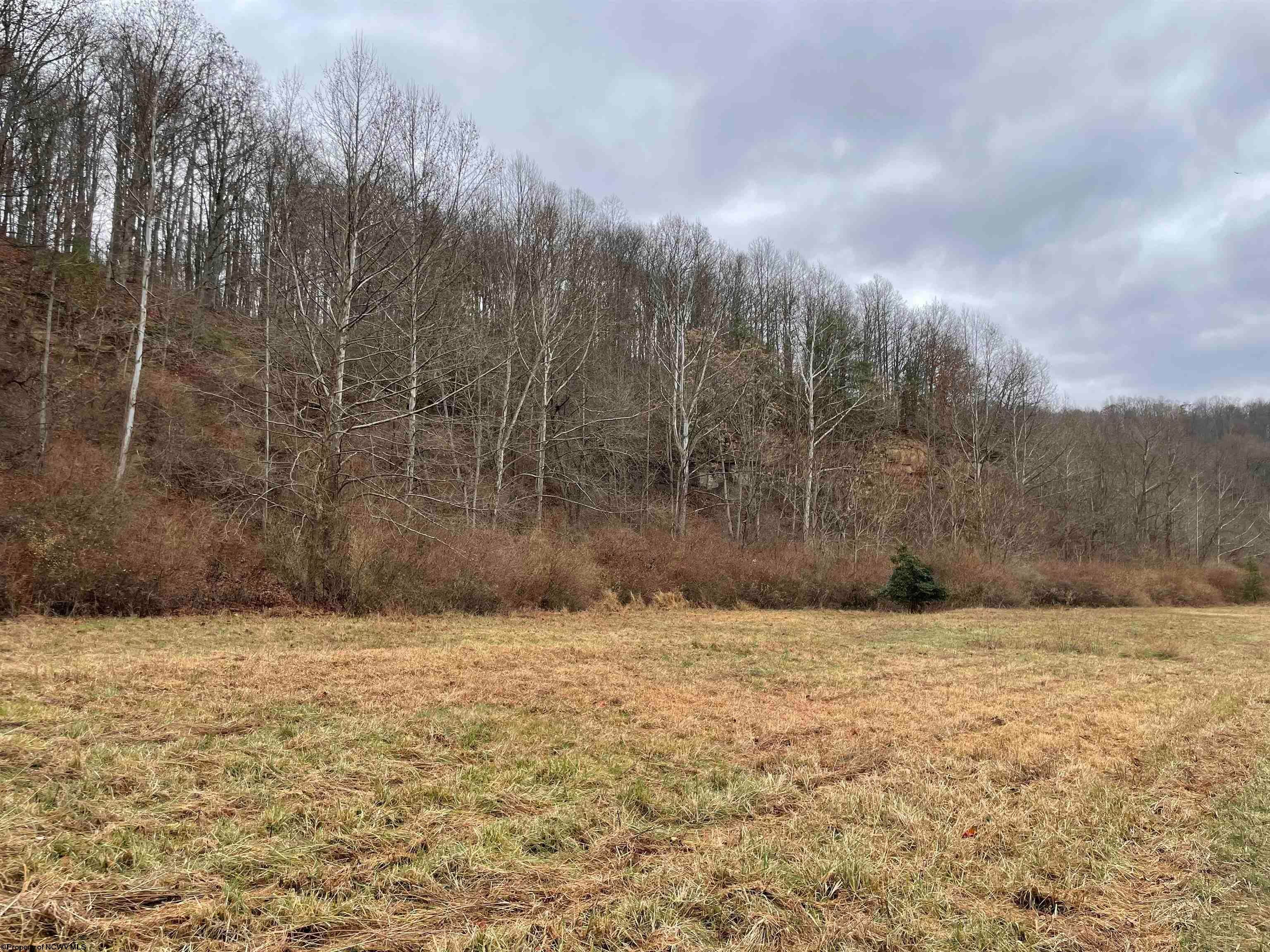 Tbd Darnell Road Weston, WV 26452 - Photo 4 of 18 Gallery Image 4