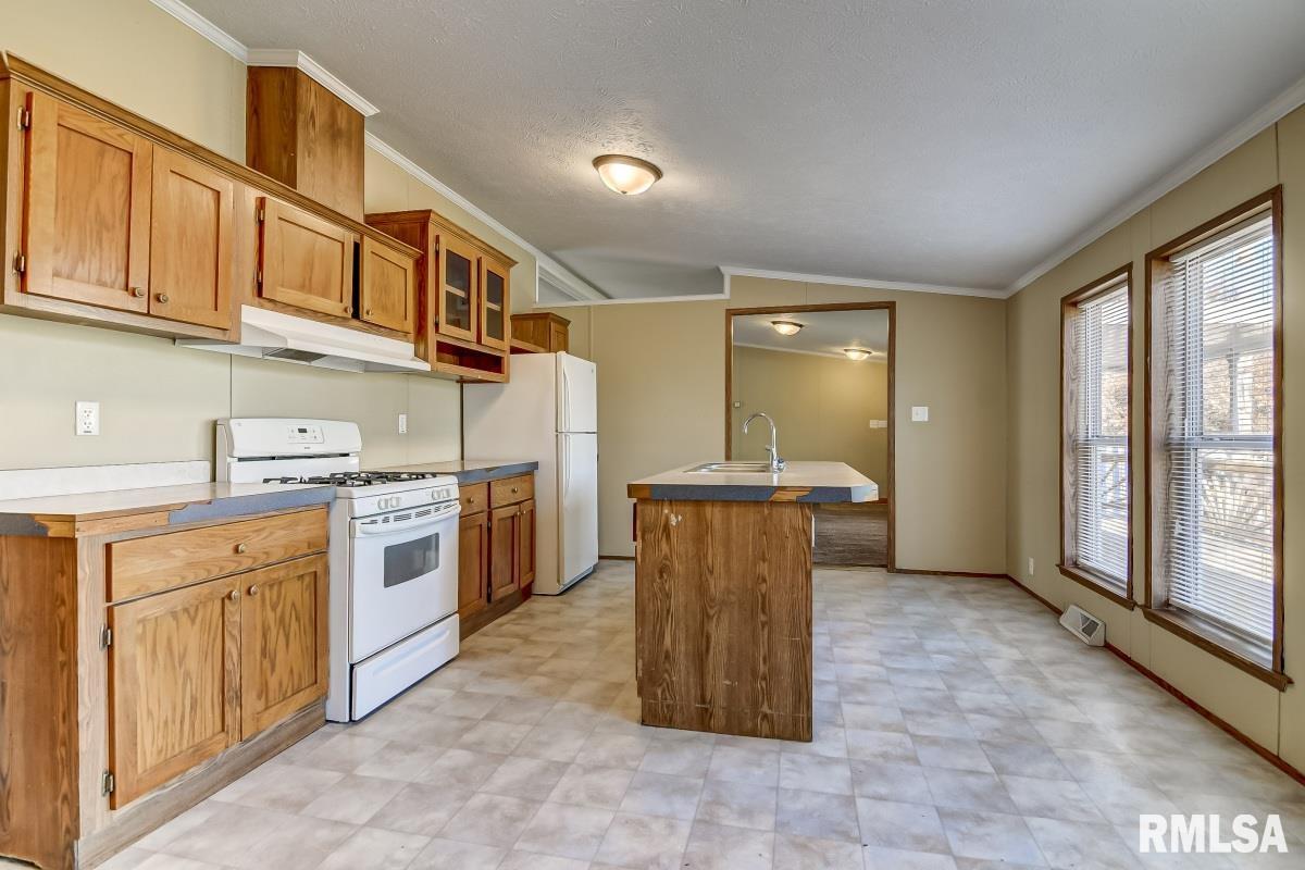 2237 North 3rd Street Springfield, IL 62702 - Photo 11 of 32