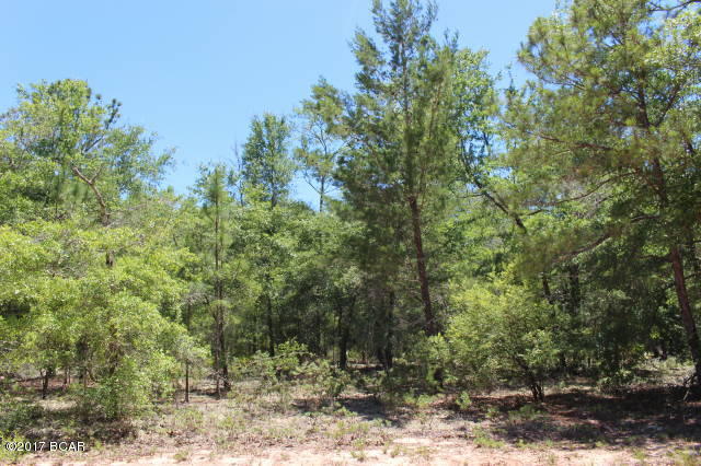 0 Dickerson Road, Unit PARCEL 1&2 Fountain, FL 32438 - Photo 1 of 5 Gallery Image 1