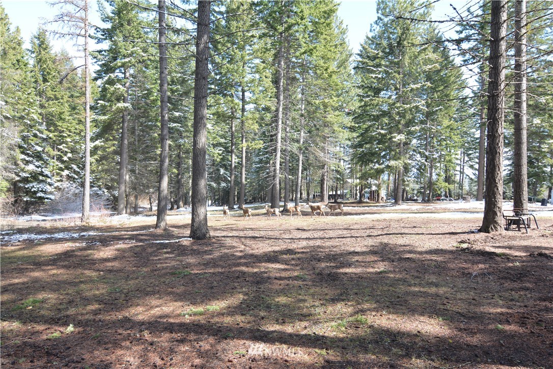 880 South Cle Elum Ridge Road Cle Elum, WA 98922 - Photo 2 of 30 Gallery Image 2