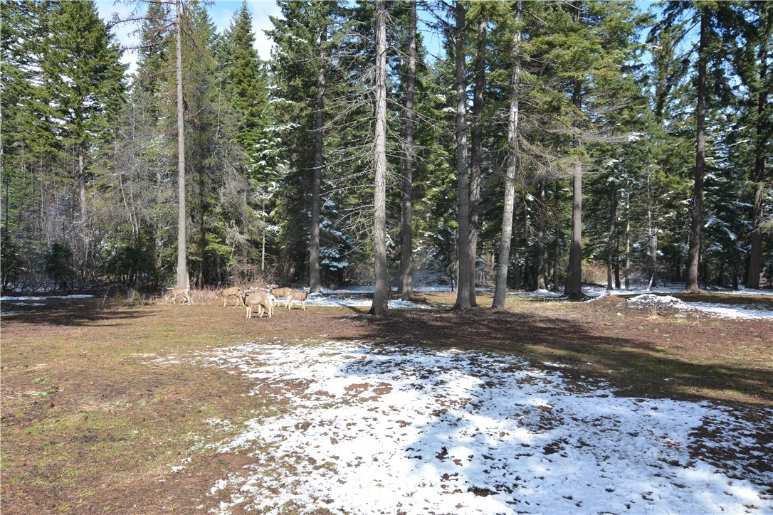 880 South Cle Elum Ridge Road Cle Elum, WA 98922 - Photo 7 of 30 Gallery Image 7
