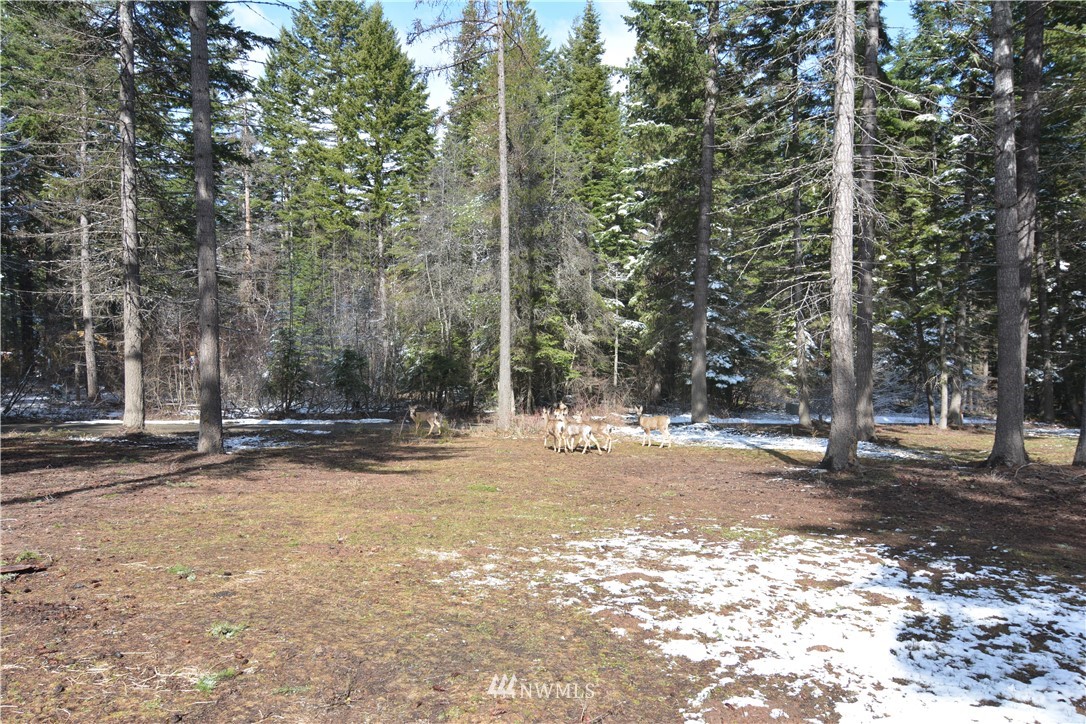 880 South Cle Elum Ridge Road Cle Elum, WA 98922 - Photo 8 of 30 Gallery Image 8