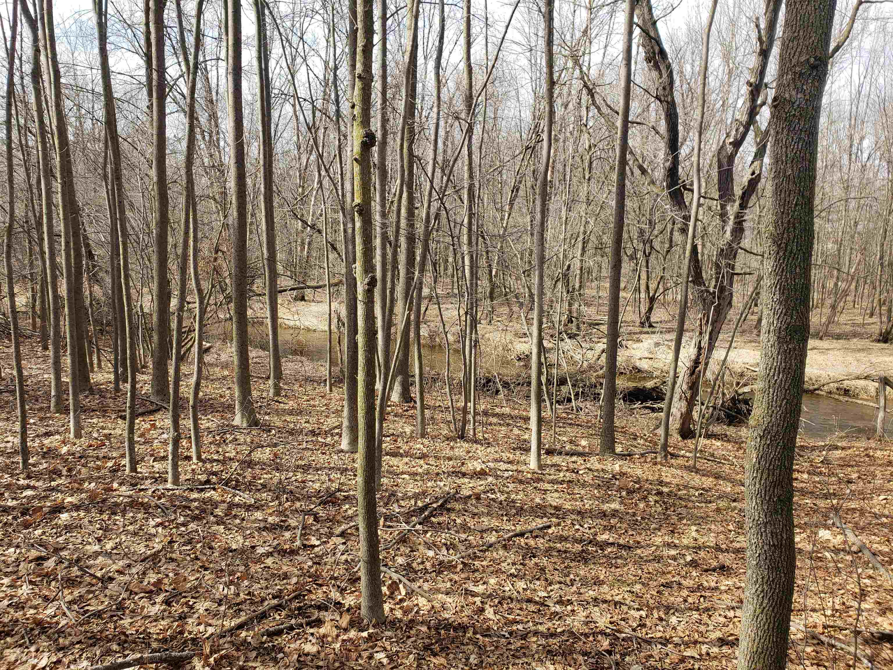 Bialozynski Road, Unit 1 Pulaski, WI 54162 - Photo 11 of 28