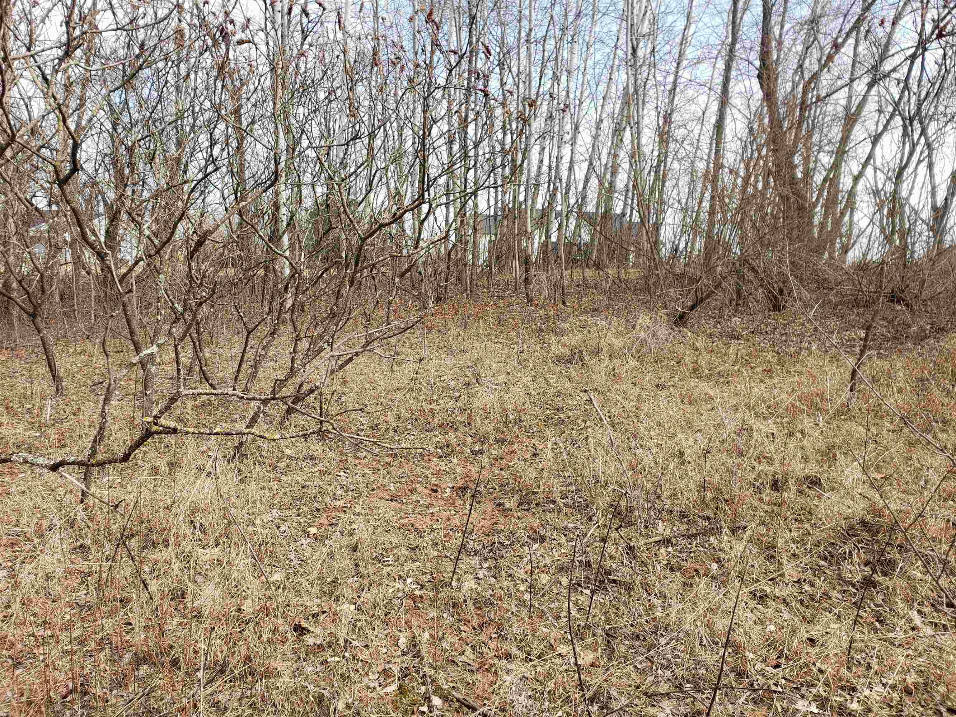 Bialozynski Road, Unit 1 Pulaski, WI 54162 - Photo 12 of 28