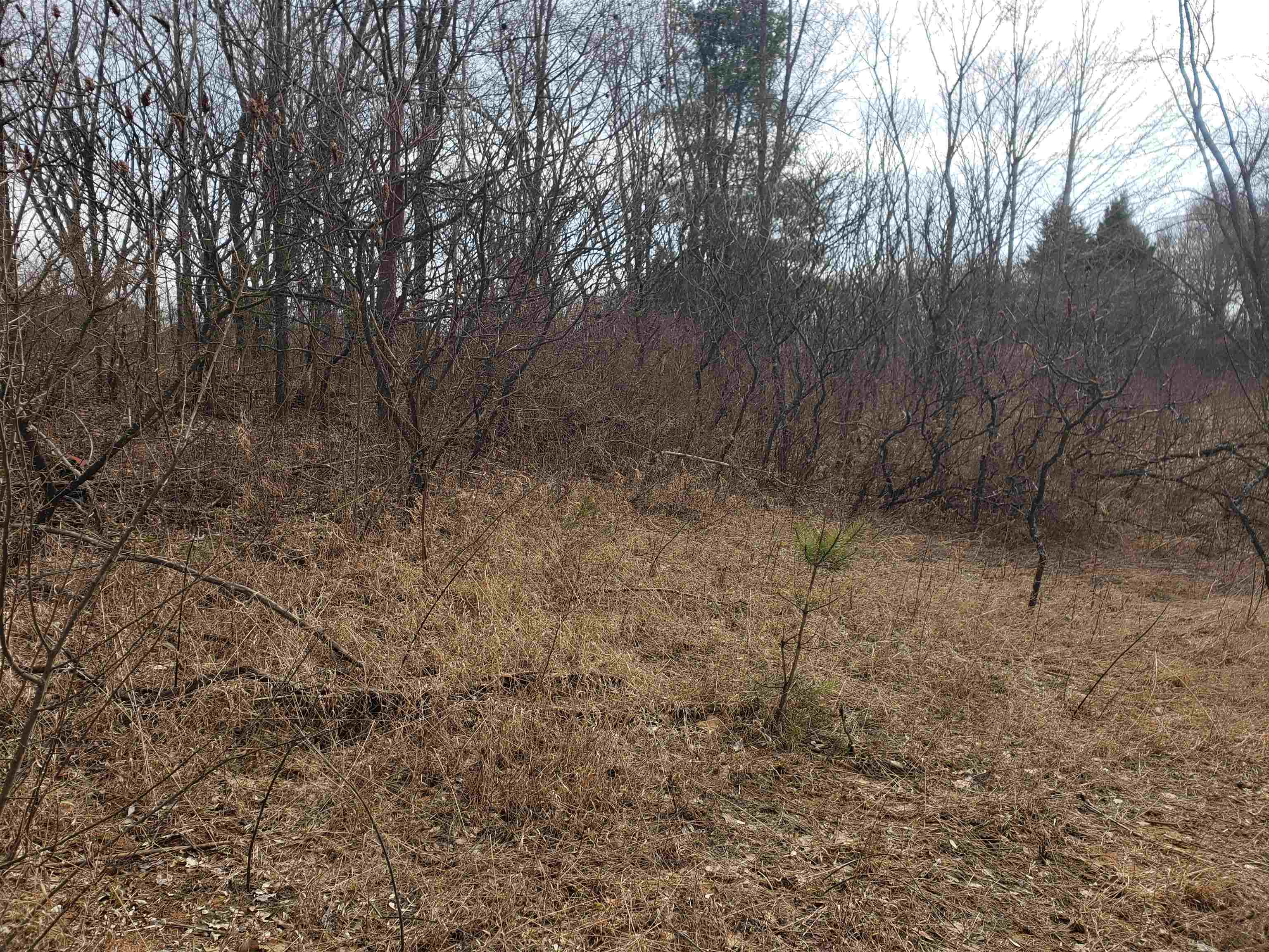 Bialozynski Road, Unit 1 Pulaski, WI 54162 - Photo 13 of 28