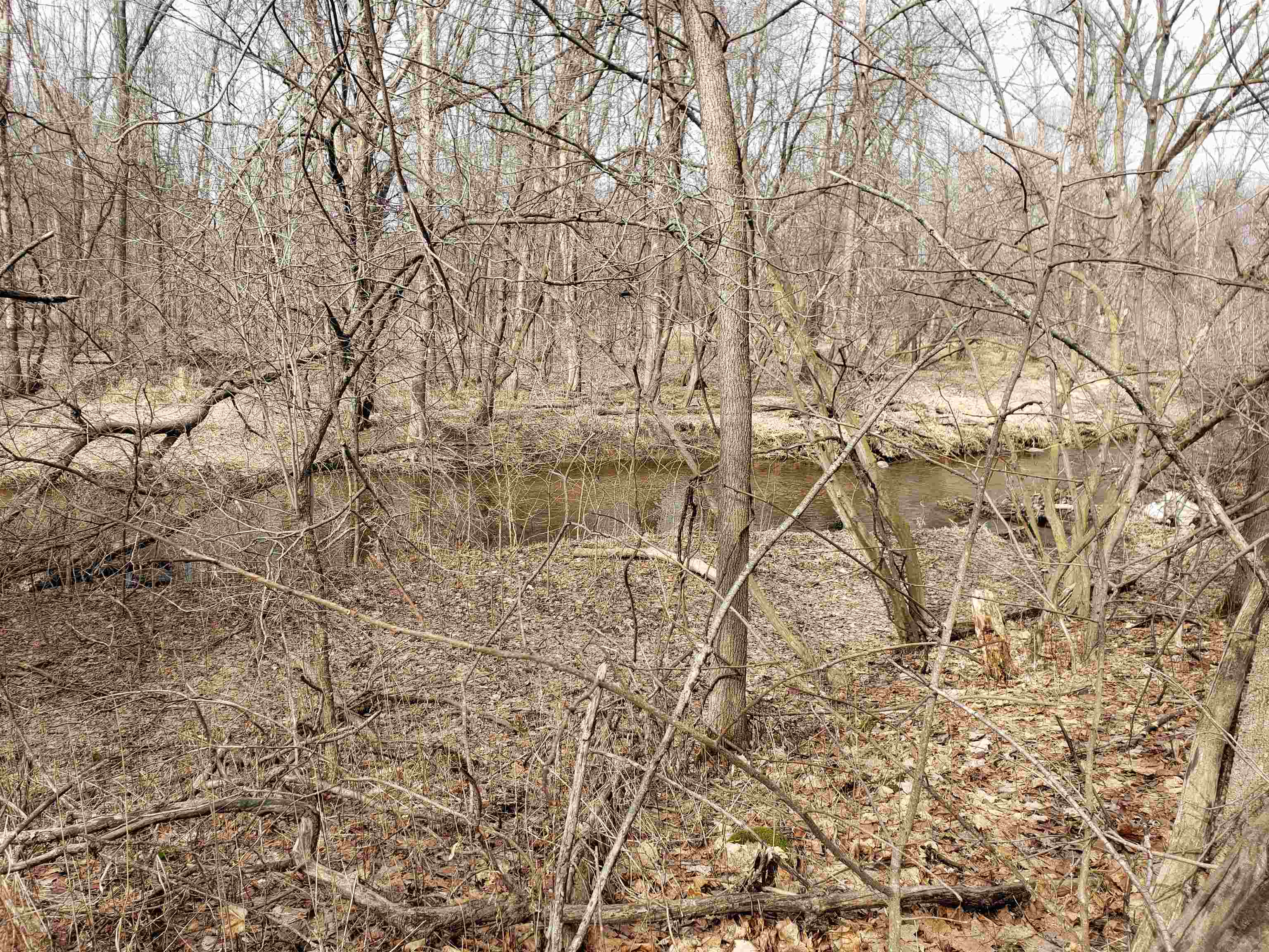 Bialozynski Road, Unit 1 Pulaski, WI 54162 - Photo 15 of 28