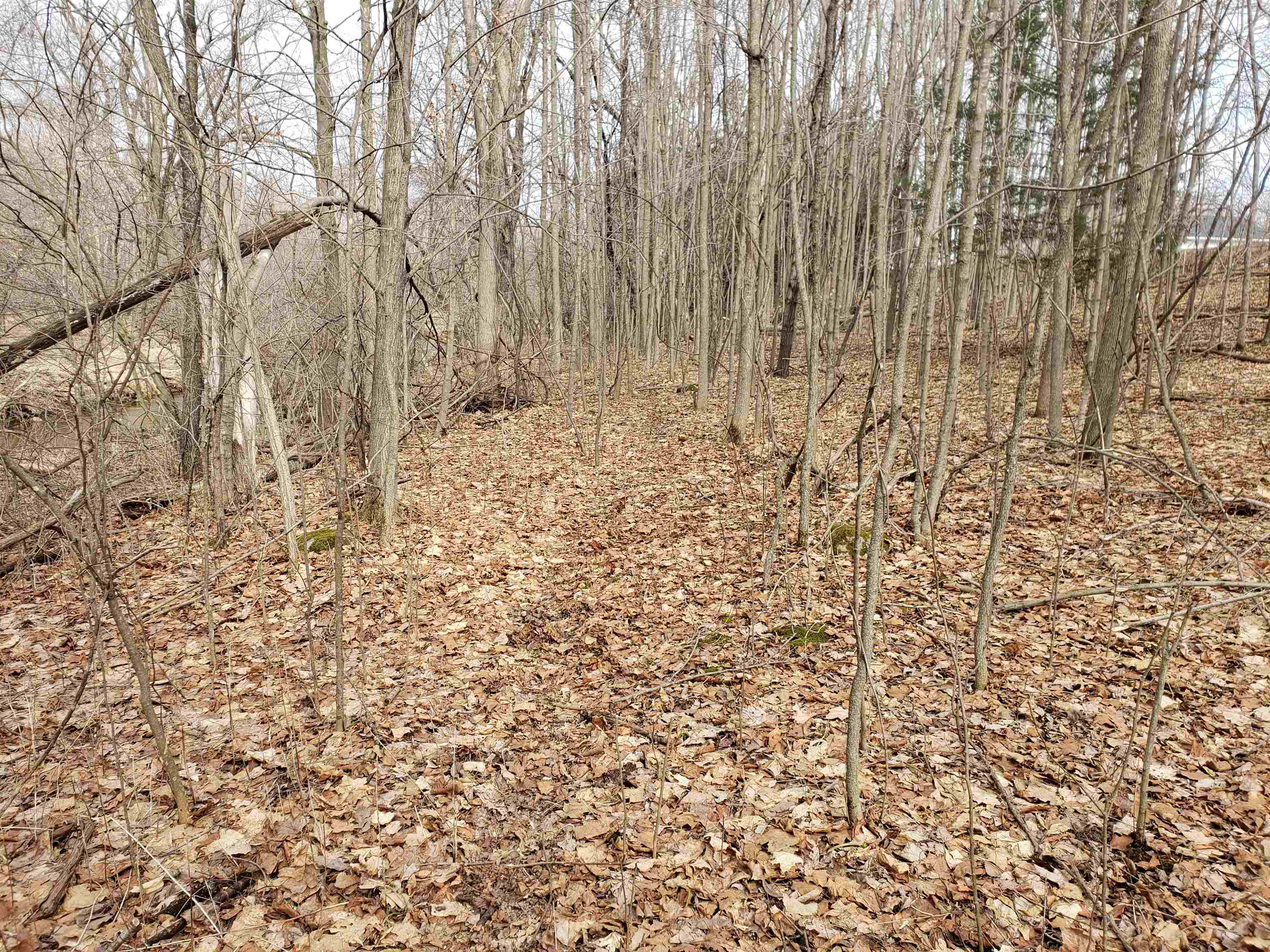 Bialozynski Road, Unit 1 Pulaski, WI 54162 - Photo 16 of 28