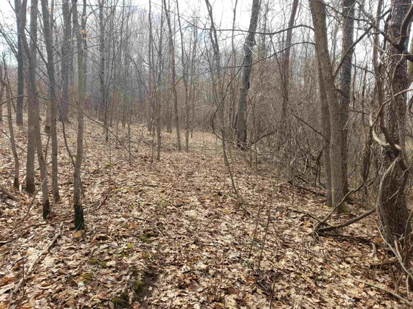 $255,000 | Bialozynski Road, Unit 1, Pulaski, WI 54162