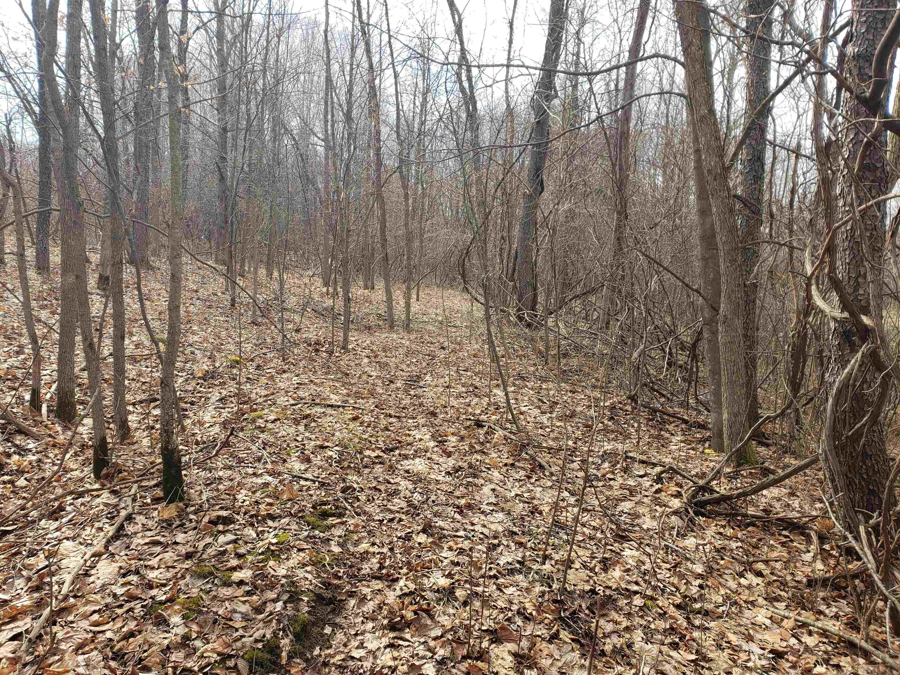 Bialozynski Road, Unit 1 Pulaski, WI 54162 - Photo 17 of 28