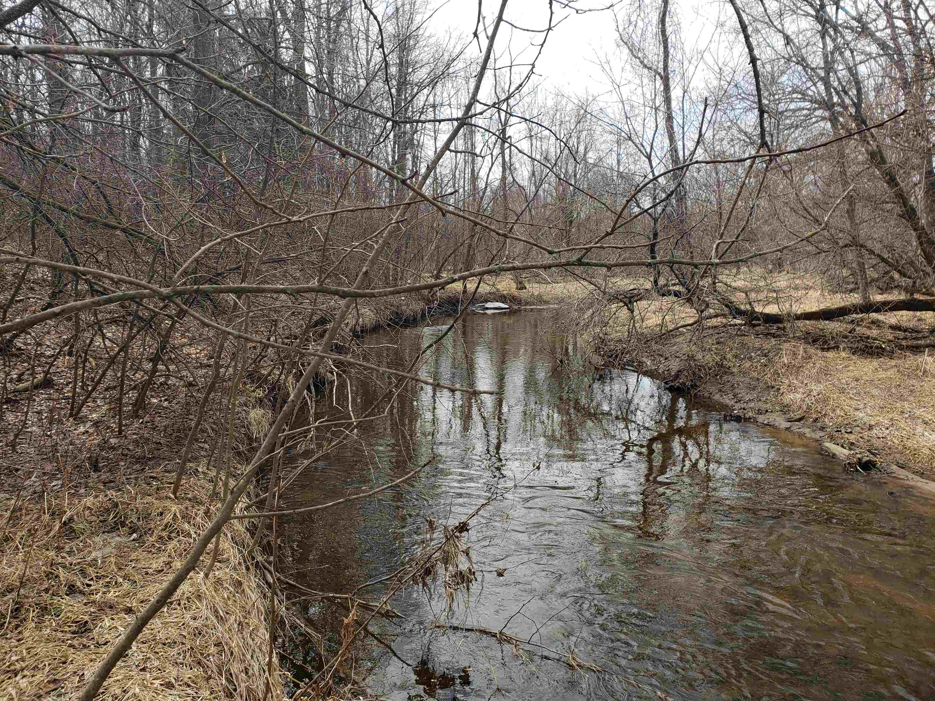 Bialozynski Road, Unit 1 Pulaski, WI 54162 - Photo 18 of 28