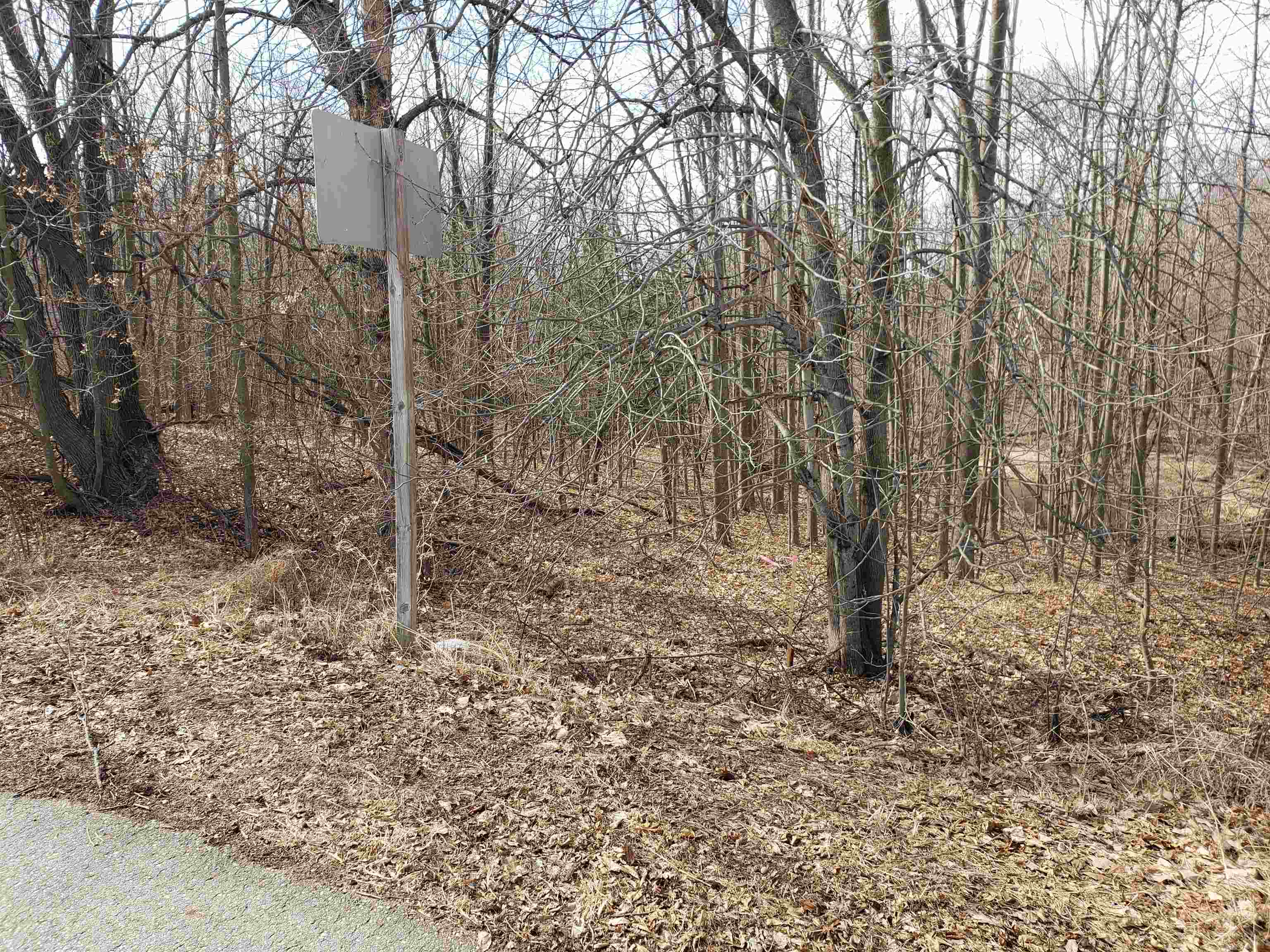 Bialozynski Road, Unit 1 Pulaski, WI 54162 - Photo 2 of 28