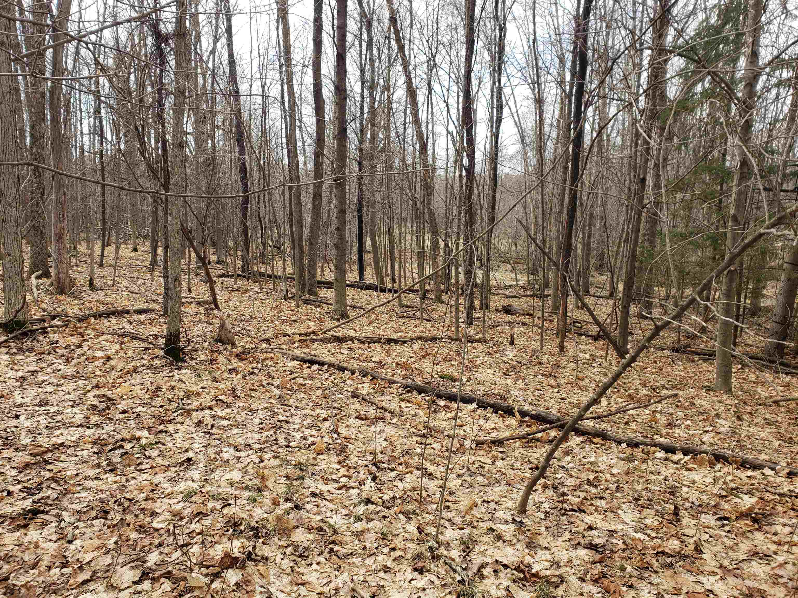 Bialozynski Road, Unit 1 Pulaski, WI 54162 - Photo 22 of 28