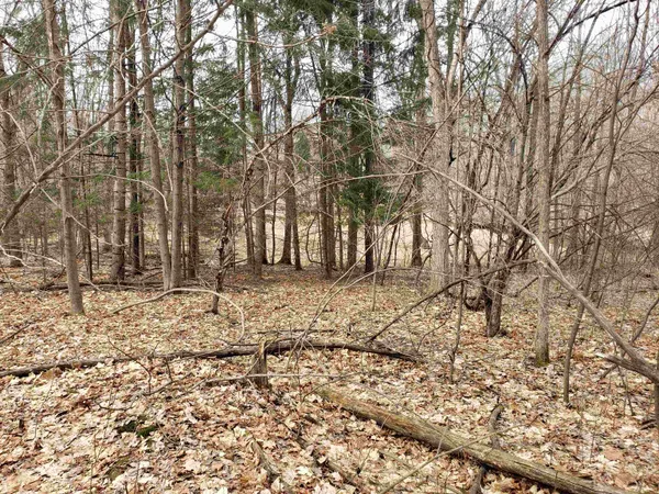 $255,000 | Bialozynski Road, Unit 1, Pulaski, WI 54162
