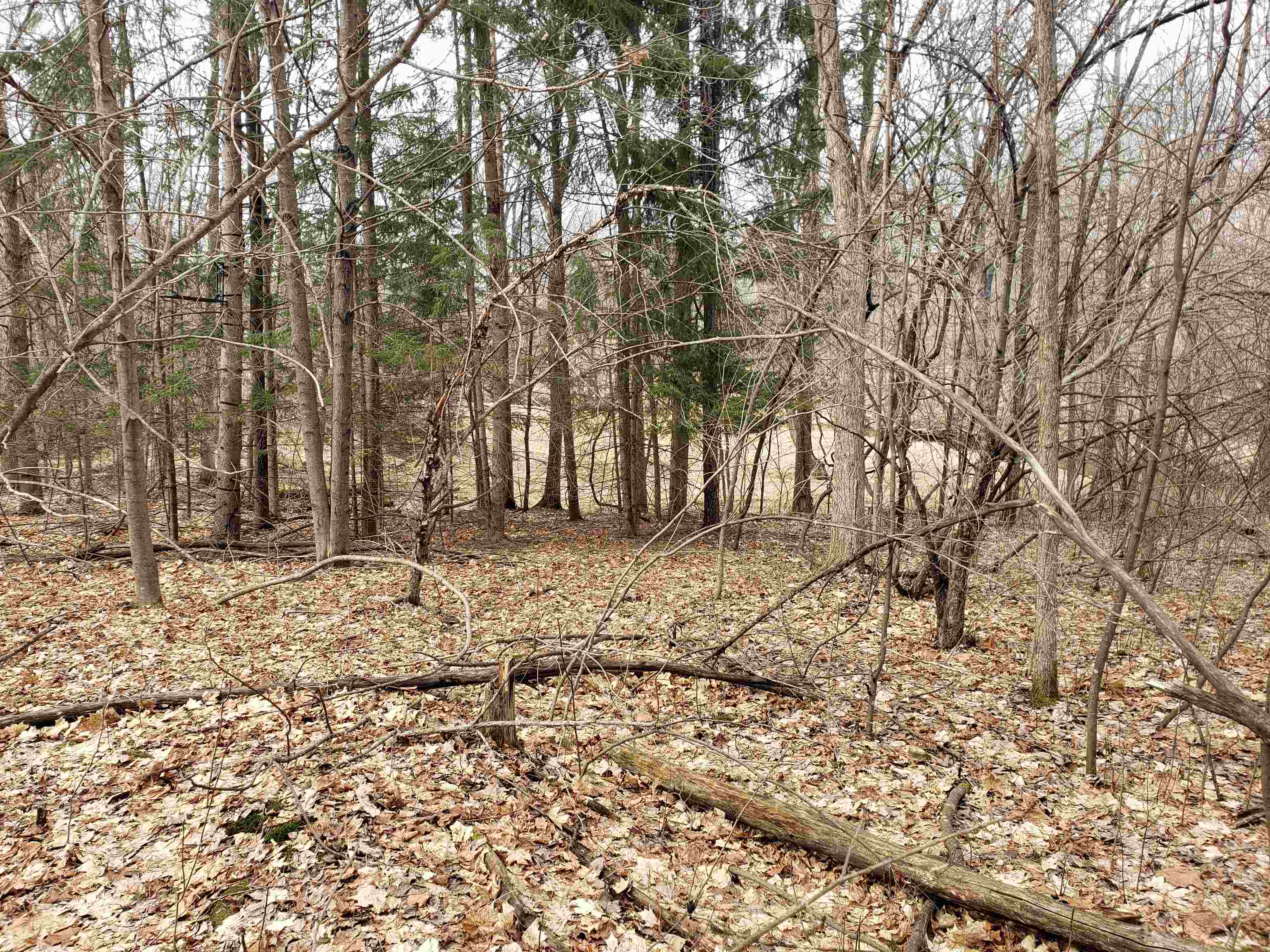 Bialozynski Road, Unit 1 Pulaski, WI 54162 - Photo 23 of 28