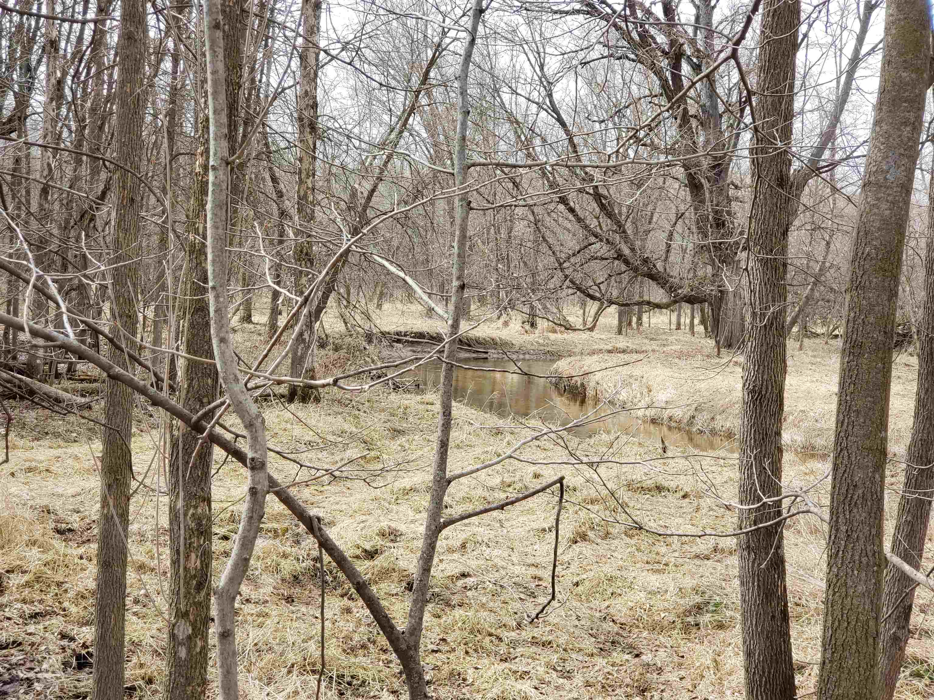 Bialozynski Road, Unit 1 Pulaski, WI 54162 - Photo 24 of 28