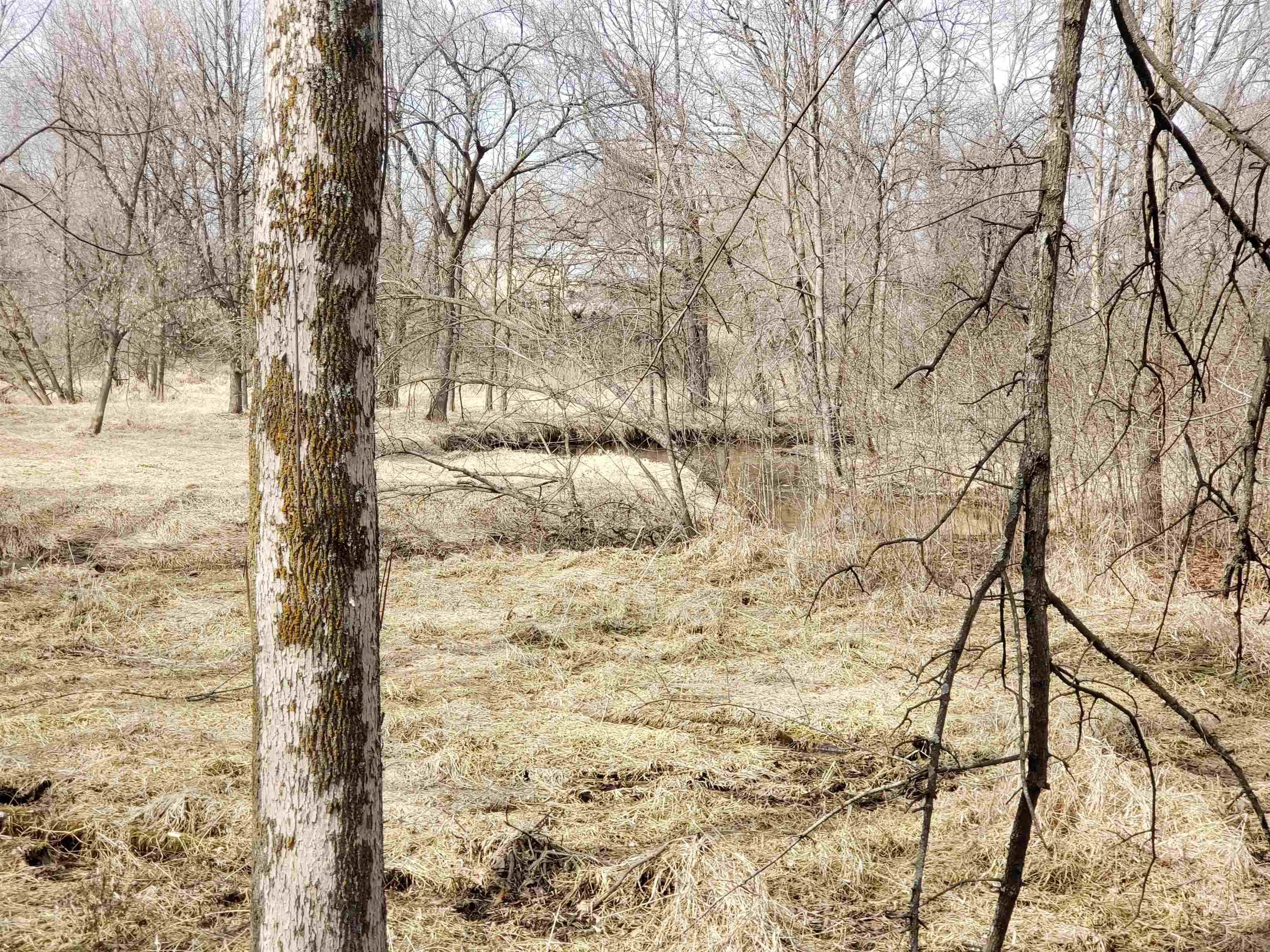 Bialozynski Road, Unit 1 Pulaski, WI 54162 - Photo 25 of 28