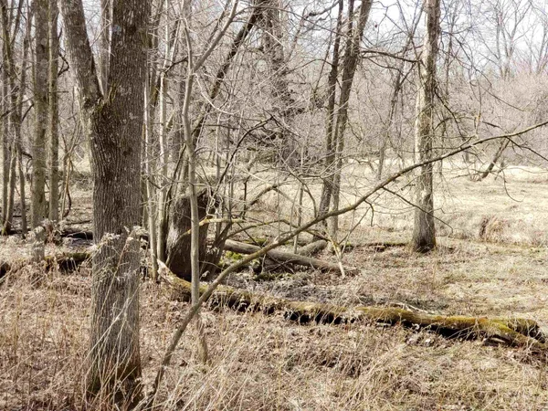$255,000 | Bialozynski Road, Unit 1, Pulaski, WI 54162