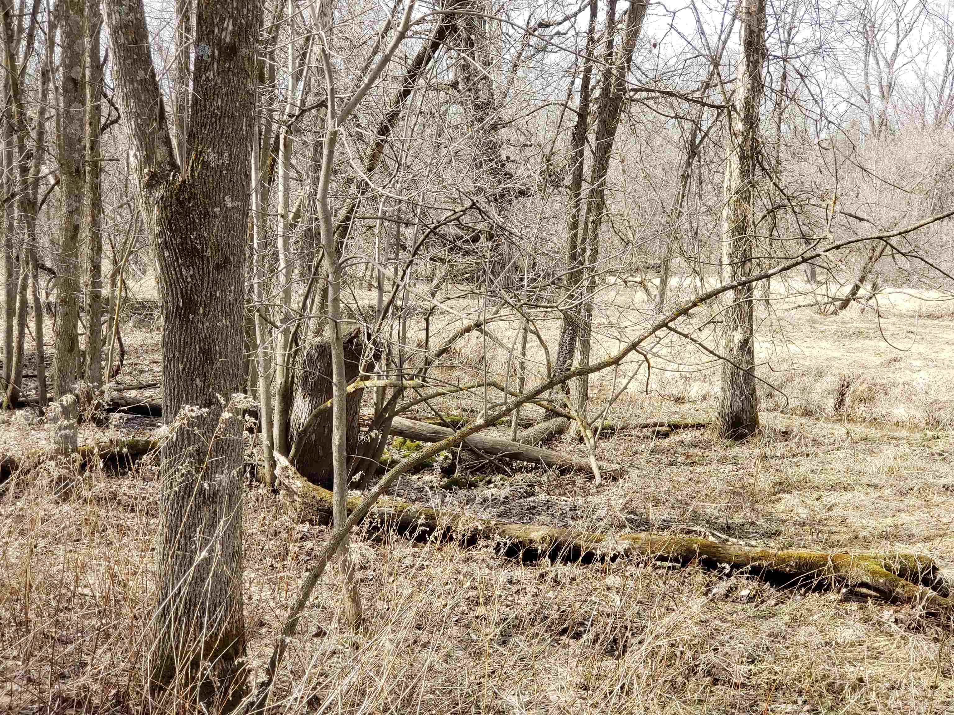 Bialozynski Road, Unit 1 Pulaski, WI 54162 - Photo 26 of 28