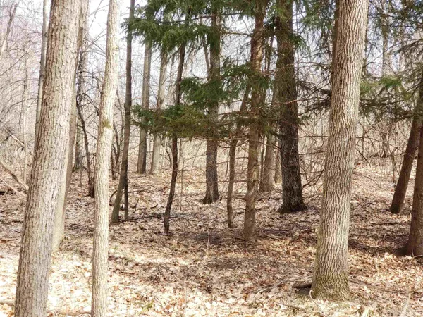 $255,000 | Bialozynski Road, Unit 1, Pulaski, WI 54162