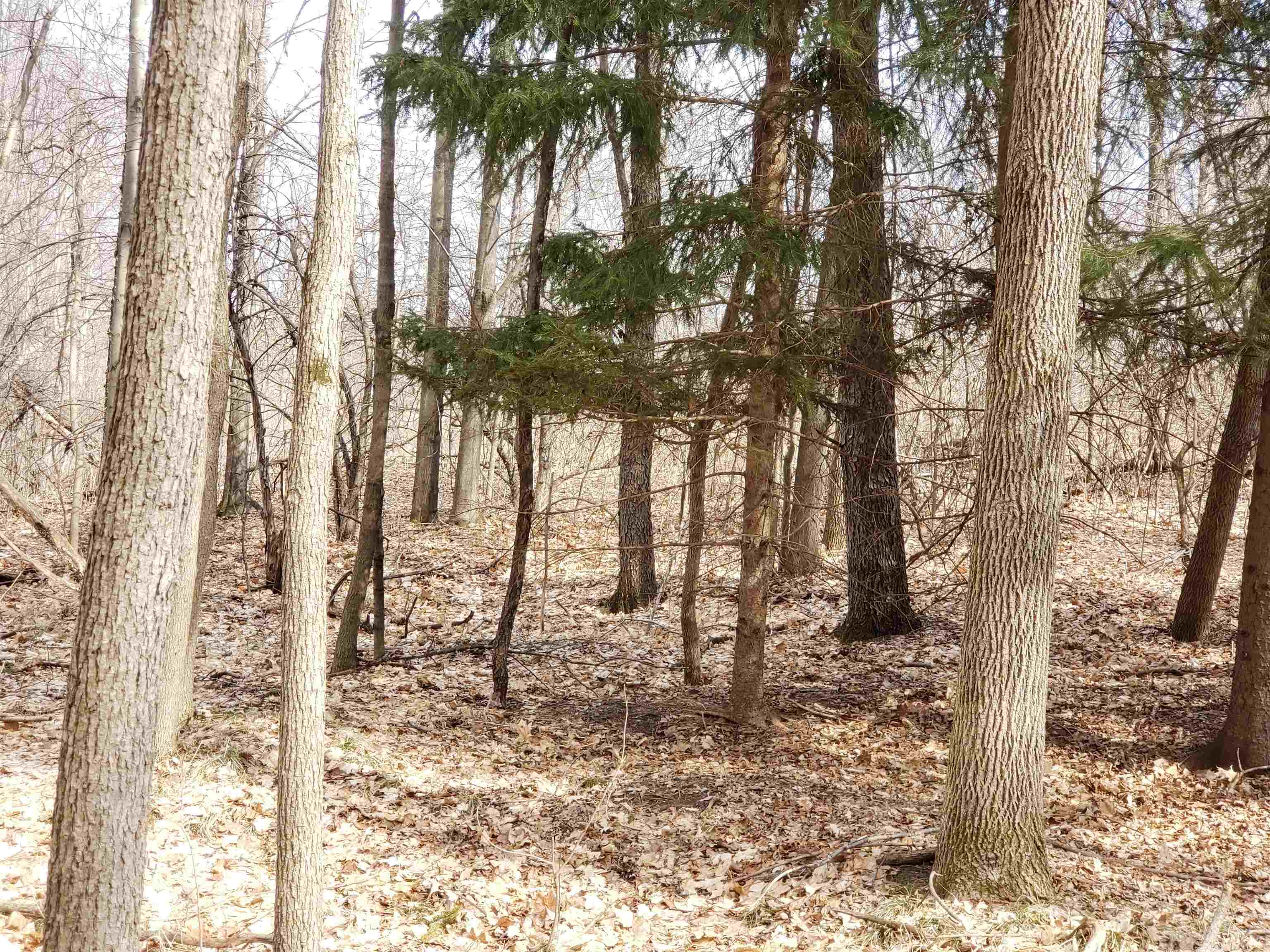 Bialozynski Road, Unit 1 Pulaski, WI 54162 - Photo 27 of 28