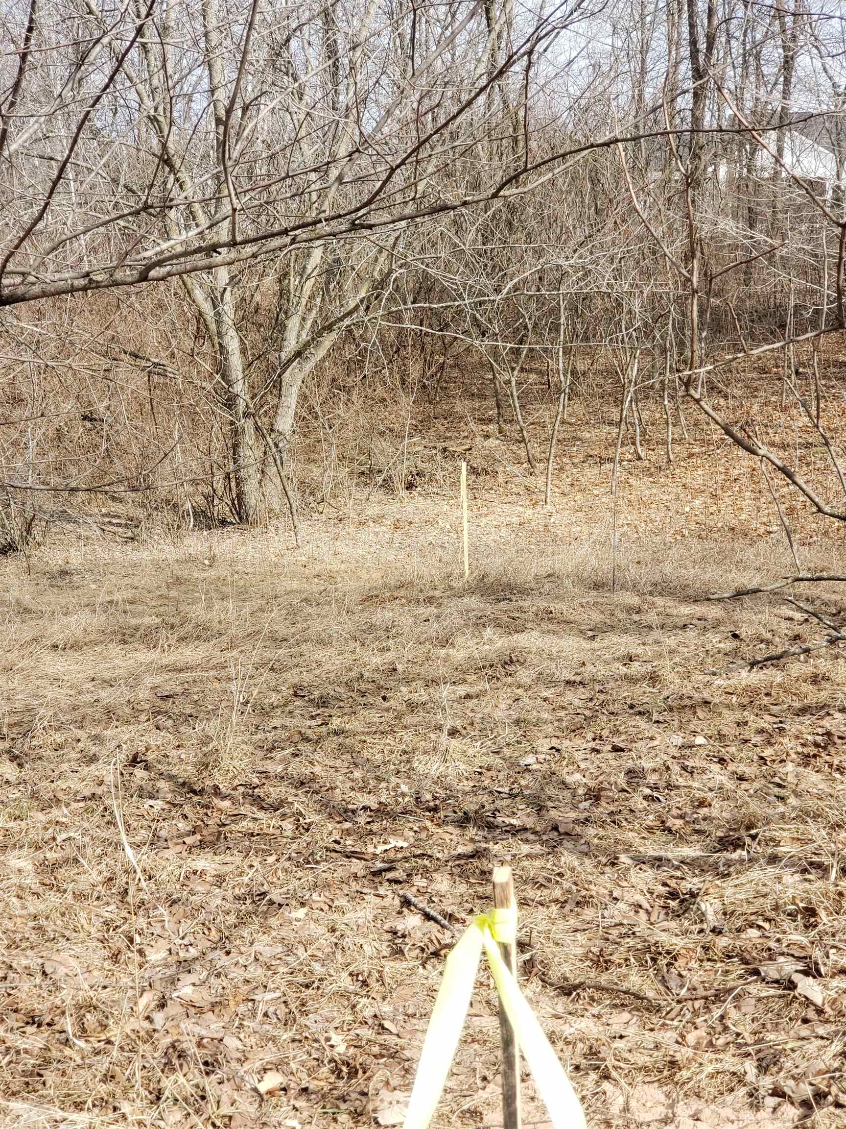 Bialozynski Road, Unit 1 Pulaski, WI 54162 - Photo 28 of 28