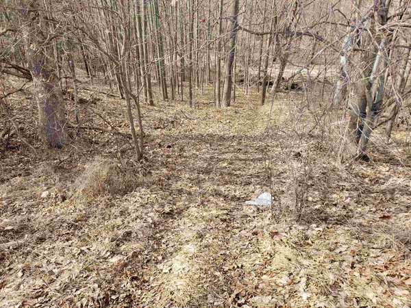 $255,000 | Bialozynski Road, Unit 1, Pulaski, WI 54162