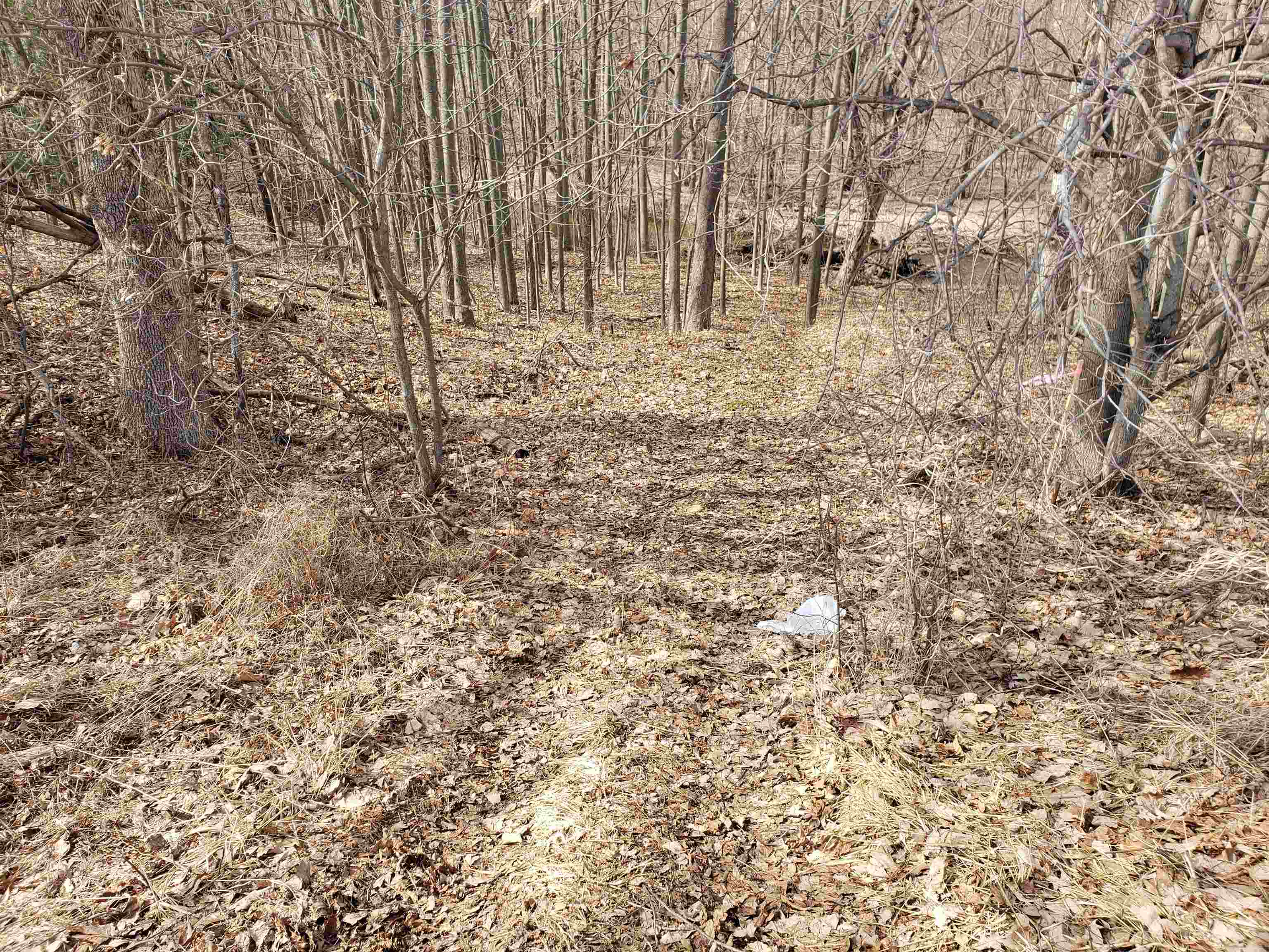 Bialozynski Road, Unit 1 Pulaski, WI 54162 - Photo 4 of 28