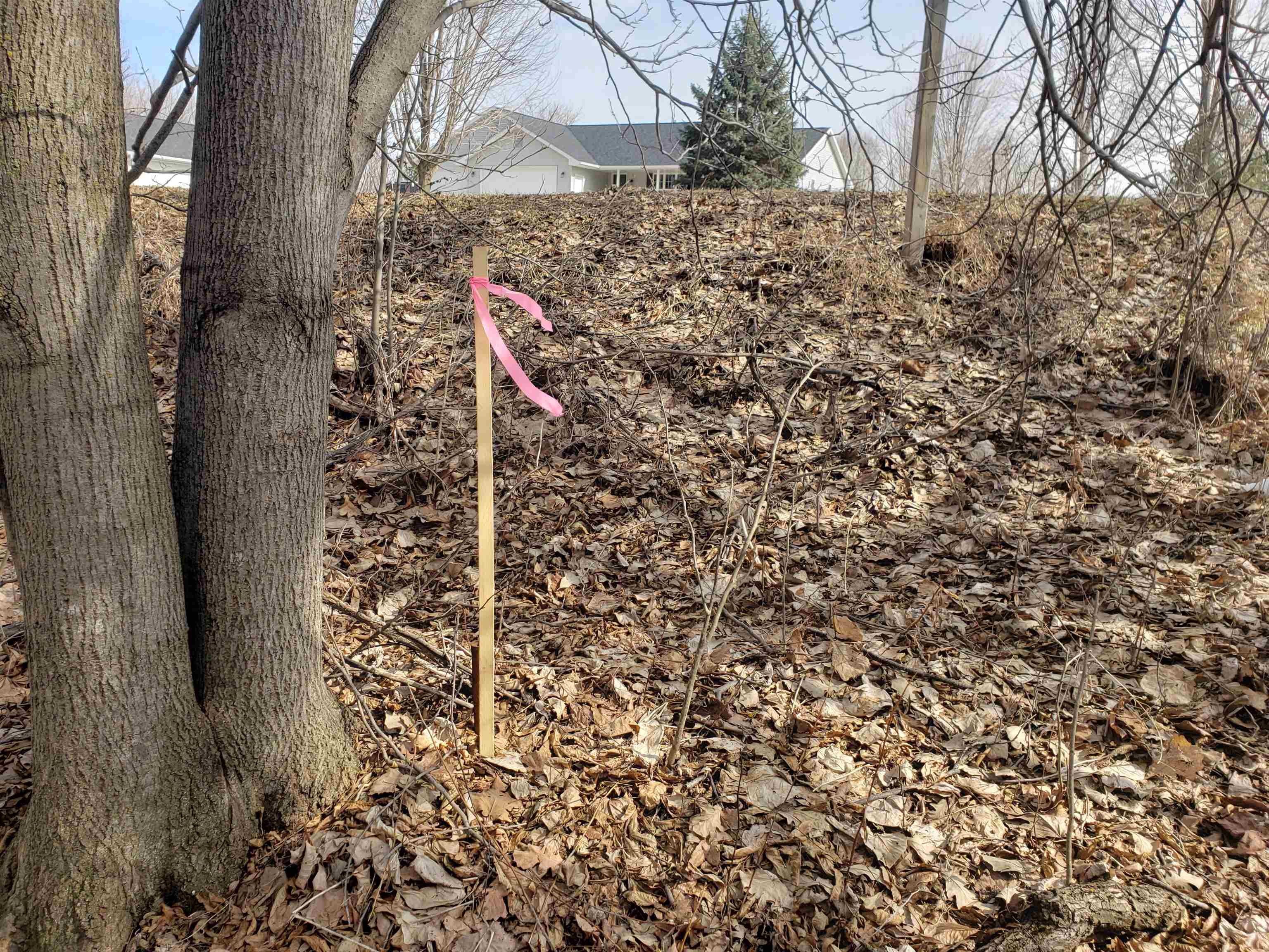 Bialozynski Road, Unit 1 Pulaski, WI 54162 - Photo 5 of 28