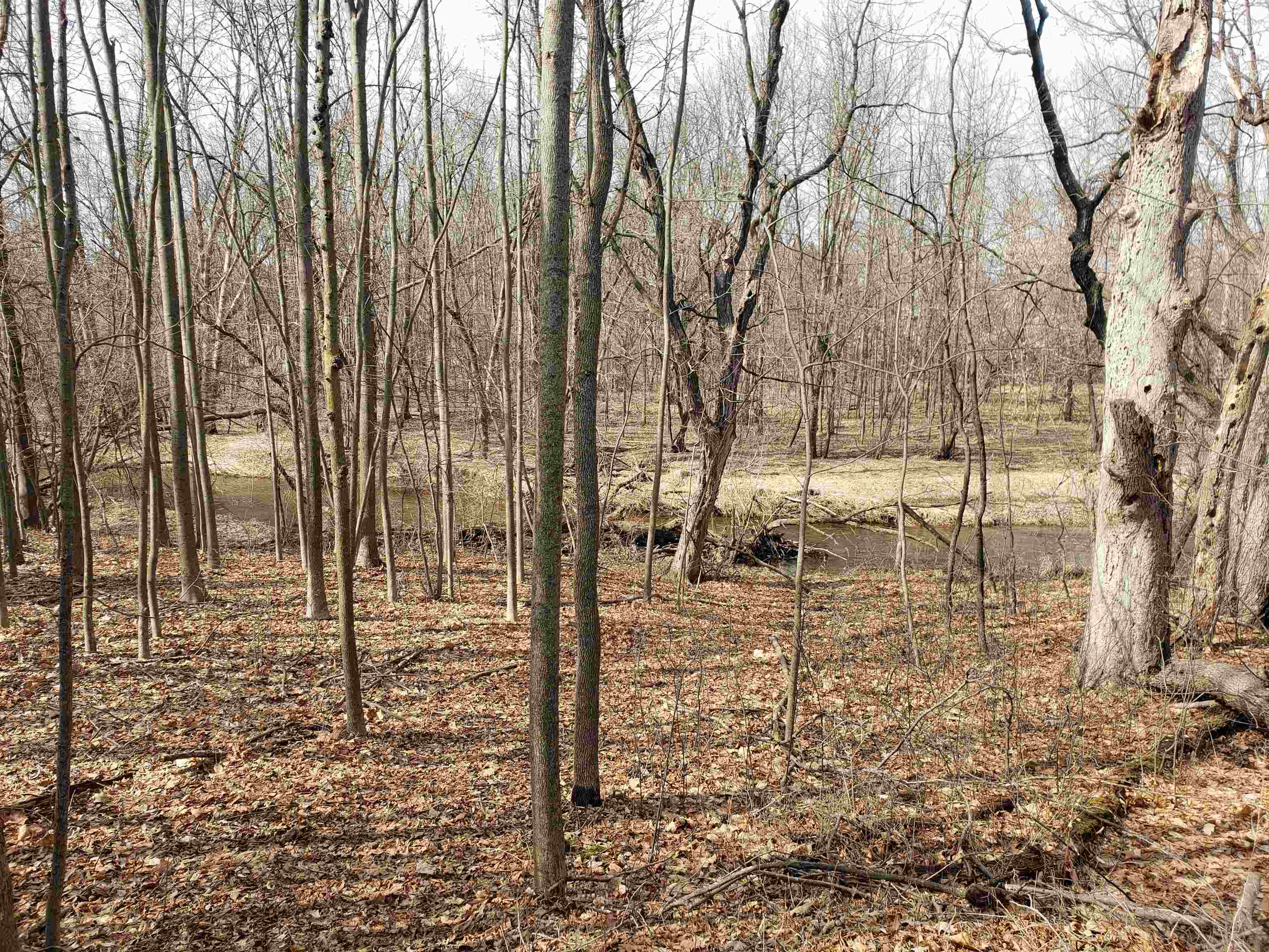 Bialozynski Road, Unit 1 Pulaski, WI 54162 - Photo 6 of 28