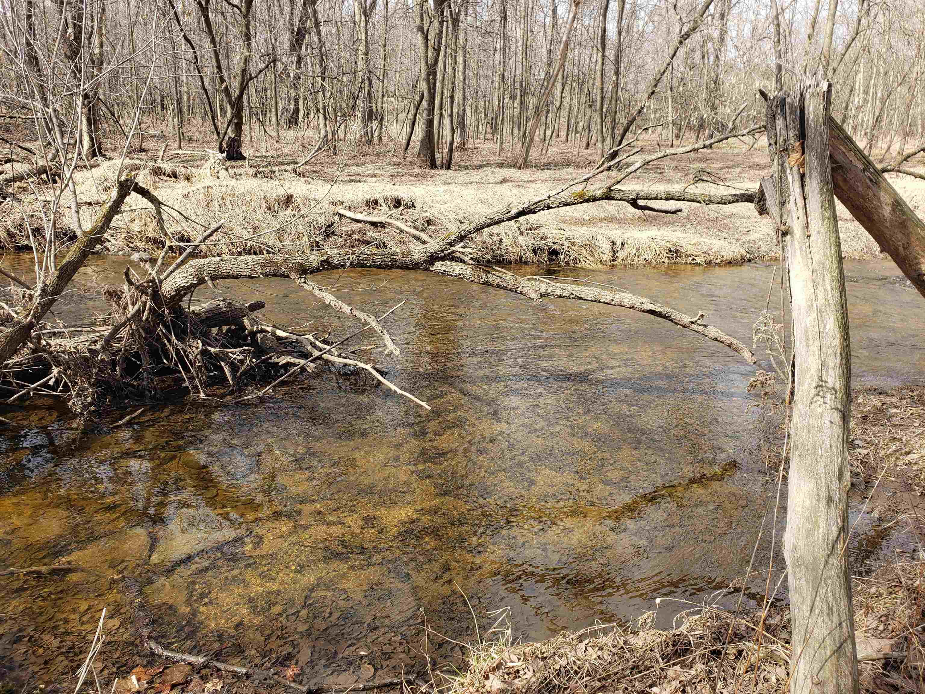 Bialozynski Road, Unit 1 Pulaski, WI 54162 - Photo 7 of 28