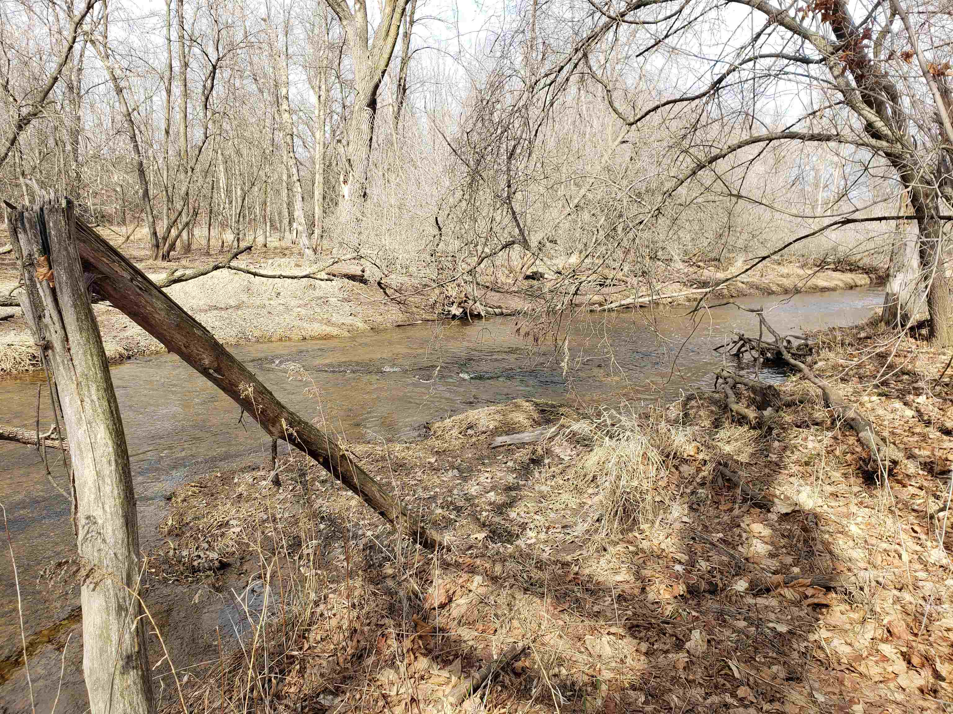 Bialozynski Road, Unit 1 Pulaski, WI 54162 - Photo 8 of 28