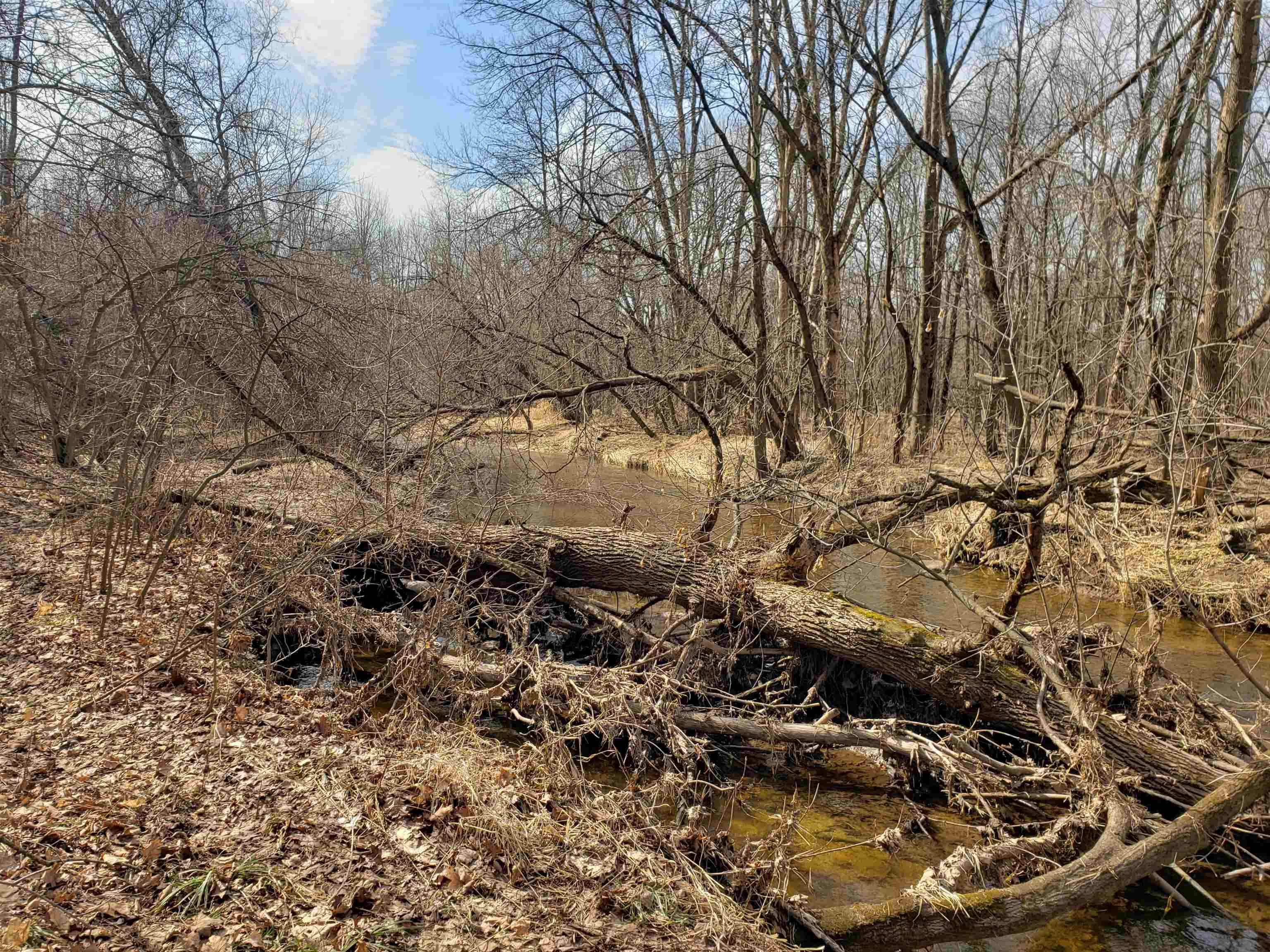 Bialozynski Road, Unit 1 Pulaski, WI 54162 - Photo 9 of 28