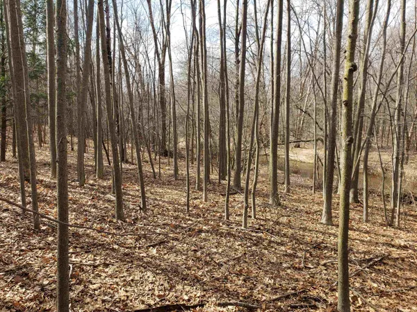 $255,000 | Bialozynski Road, Unit 1, Pulaski, WI 54162