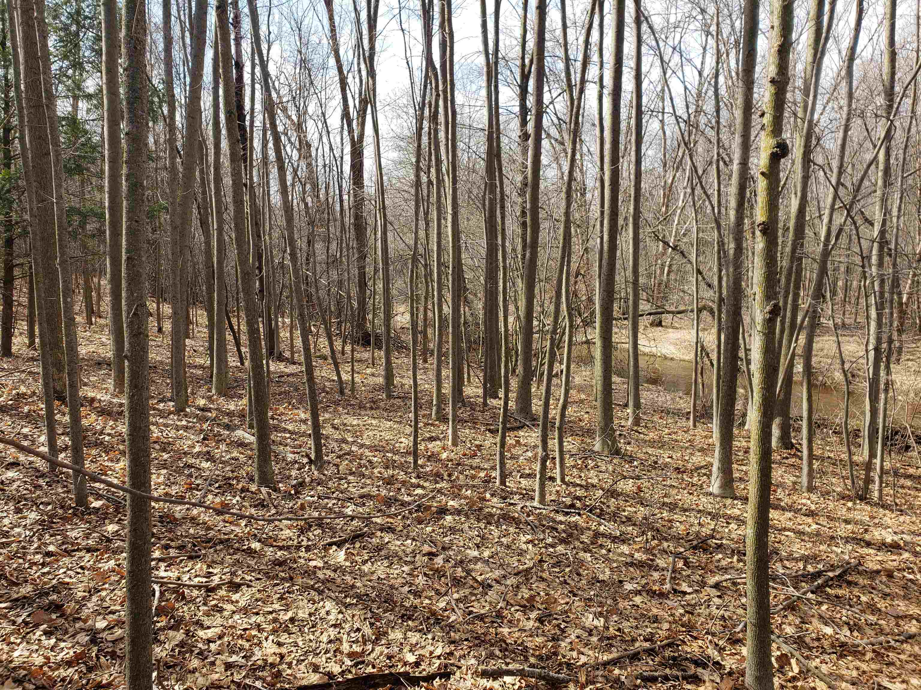 Bialozynski Road, Unit 1 Pulaski, WI 54162 - Photo 10 of 28