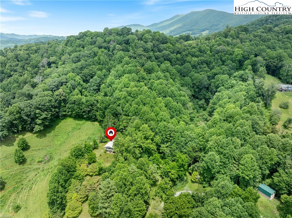 411 Will Perry Road Vilas, NC 28692 - Photo 13 of 14 Gallery Image 13
