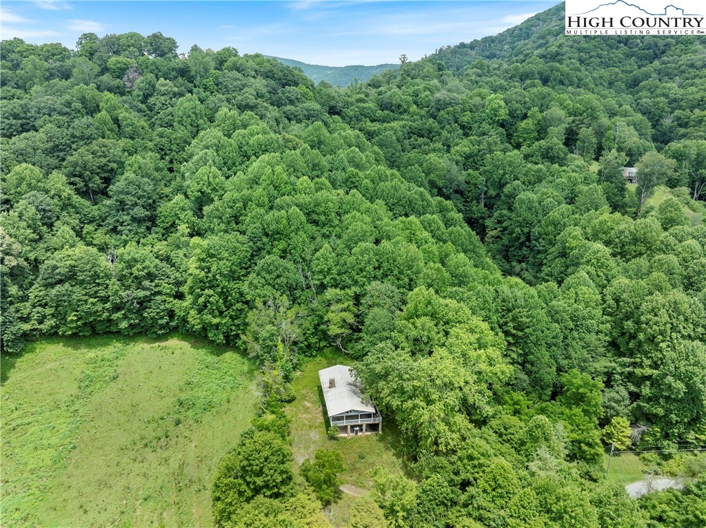 411 Will Perry Road Vilas, NC 28692 - Photo 4 of 14 Gallery Image 4