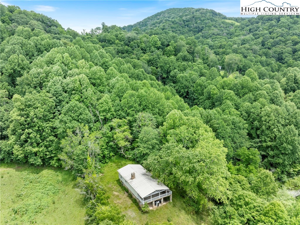 411 Will Perry Road Vilas, NC 28692 - Photo 5 of 14 Gallery Image 5