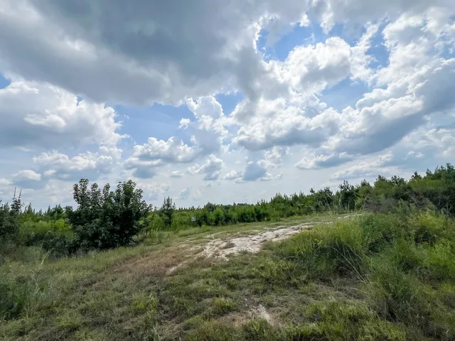 $115,500 | 4 County Road 235, Brookeland, TX 75931