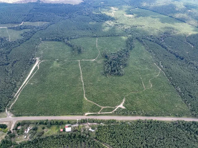 $115,500 | 4 County Road 235, Brookeland, TX 75931