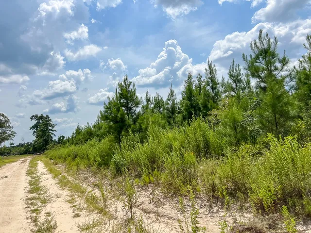 $115,500 | 4 County Road 235, Brookeland, TX 75931