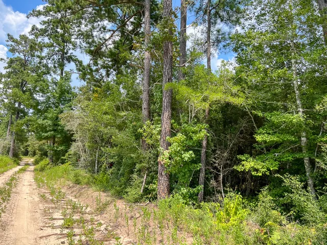 $115,500 | 4 County Road 235, Brookeland, TX 75931